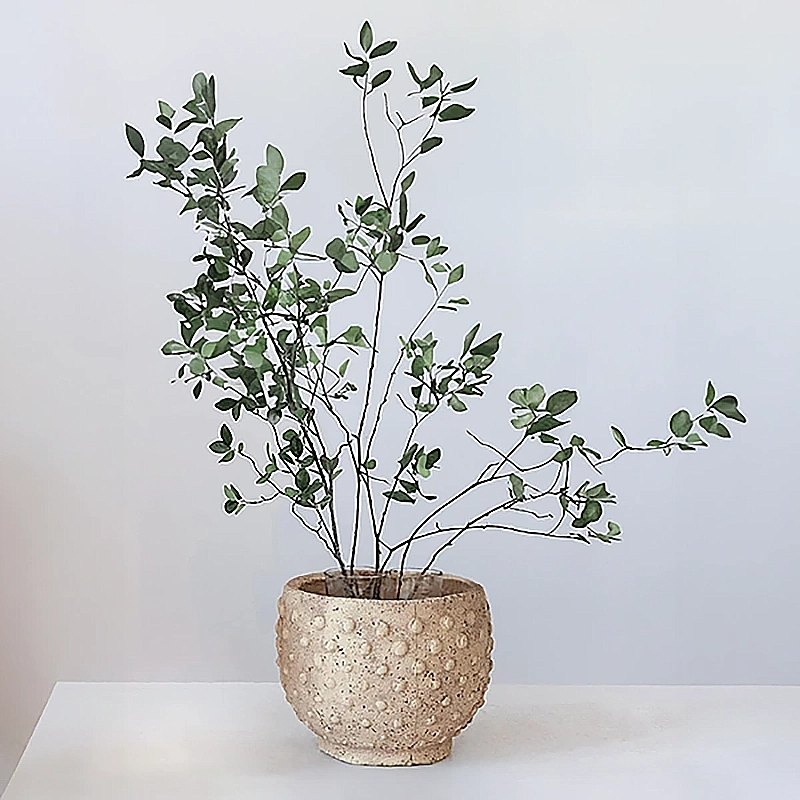 Slender-stemmed plant with small green leaves in a hand-crafted rustic pot with a sandstone hobnail finish planter.